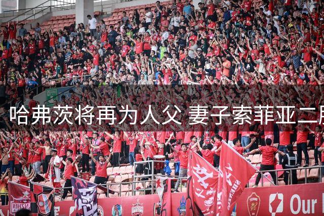 哈弗茨将再为人父 妻子索菲亚二胎喜讯官宣