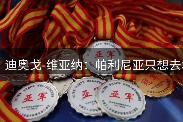迪奥戈-维亚纳：帕利尼亚只想去本菲卡，否则他会留在拜仁一年